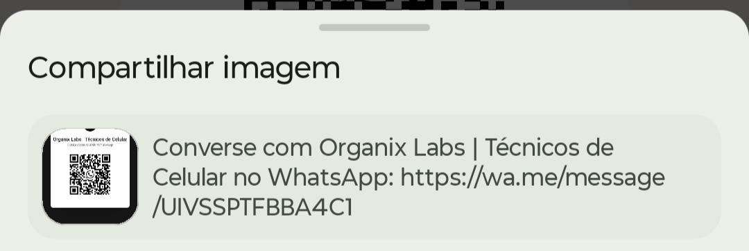QR Code WhatsApp Suporte Organix